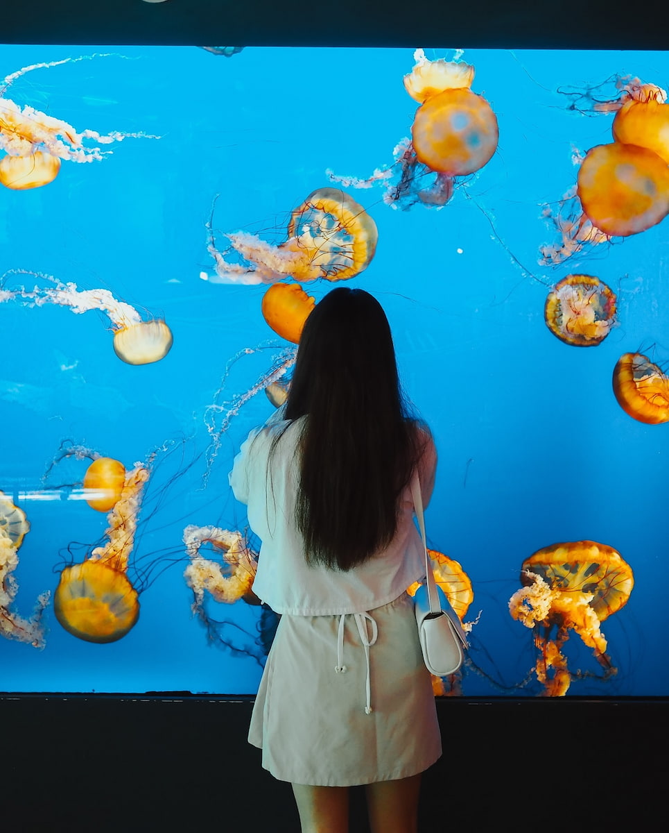 Vancouver Aquarium Vancouver Aquarium