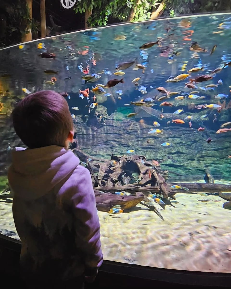 Vancouver Aquarium Vancouver Aquarium