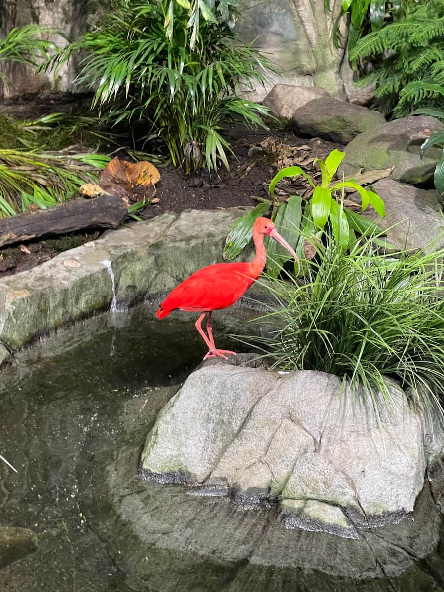 Vancouver Aquarium Vancouver Aquarium