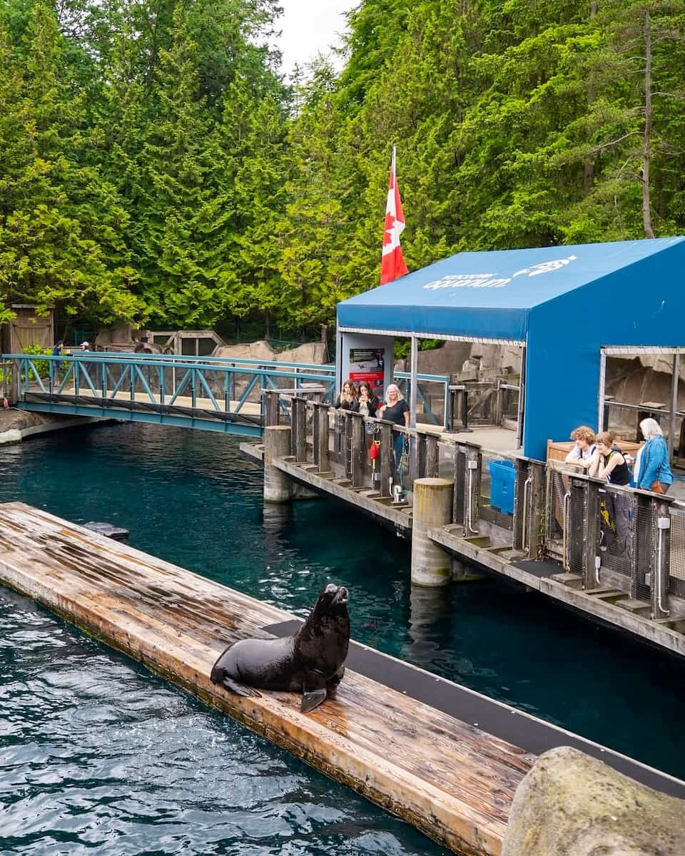 Vancouver Aquarium Vancouver Aquarium