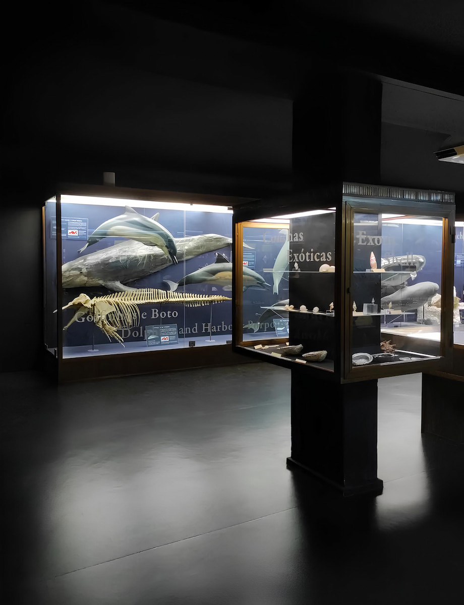 Vasco da Gama Aquarium, Belem Vasco da Gama Aquarium, Belem