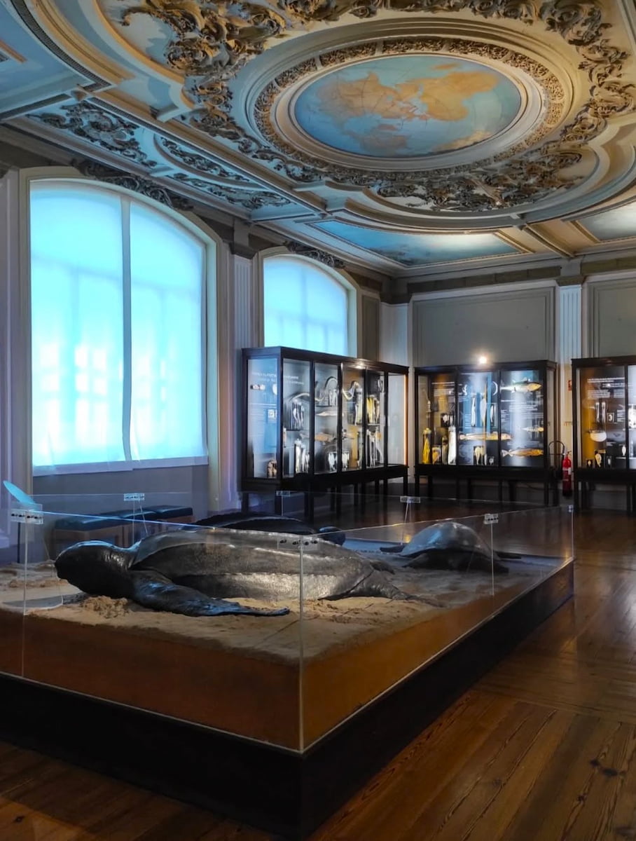 Vasco da Gama Aquarium, Belem Vasco da Gama Aquarium, Belem