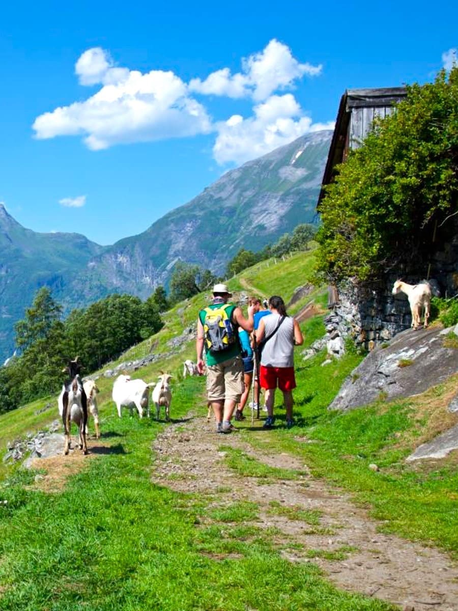 Westerås Farm, Geiranger