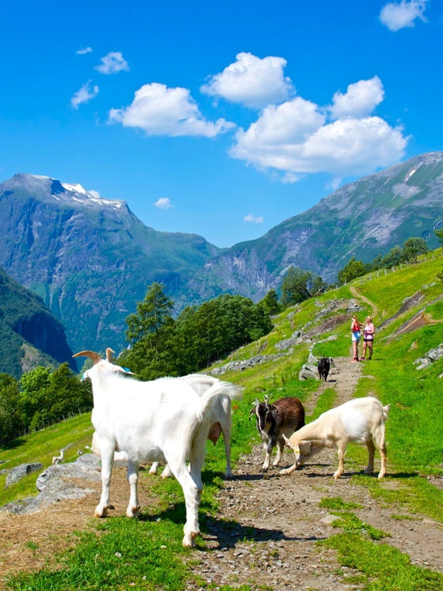 Westerås Farm, Geiranger