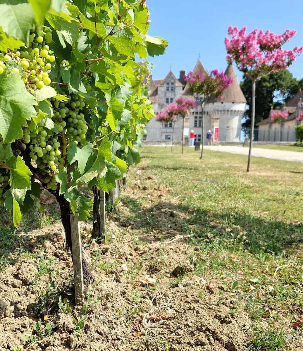 Wine Tasting Dordogne