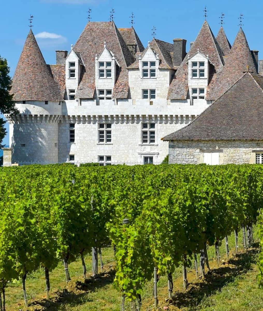 Wine Tasting Dordogne