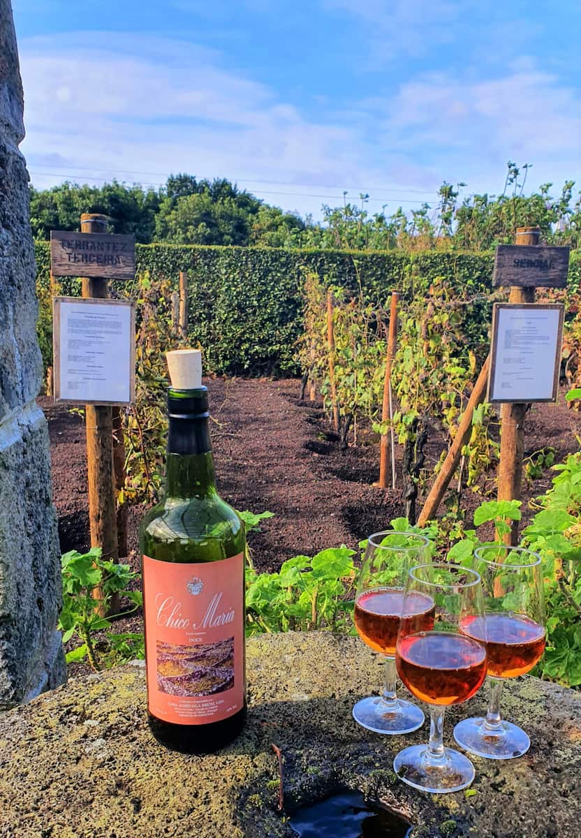 Wine Museum in Biscoitos