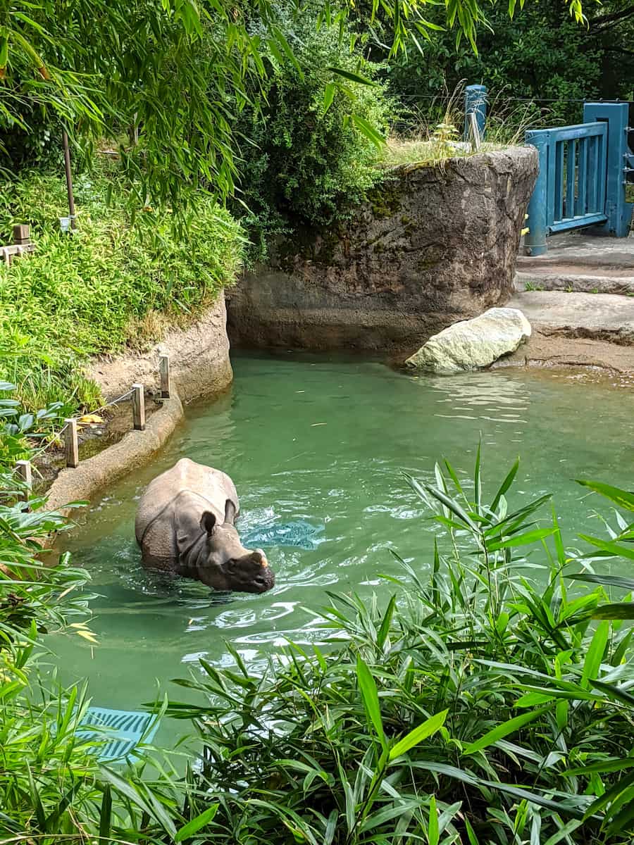 Woodland Park Zoo, Seattle