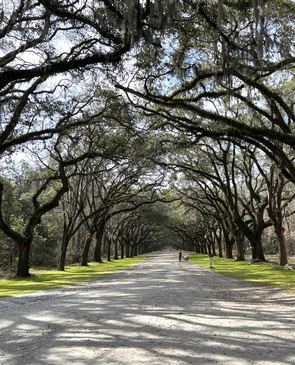 Wormsloe Historic Site Savannah Wormsloe Historic Site Savannah