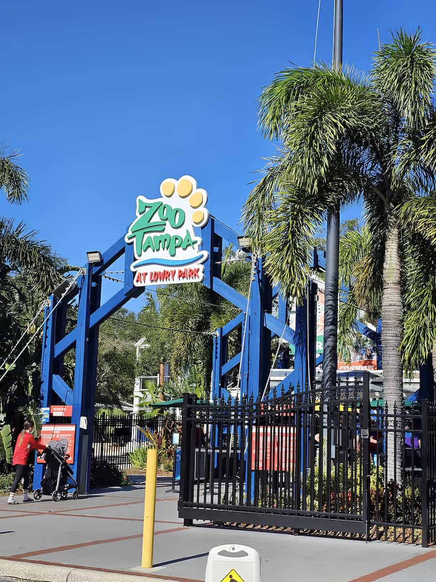 Zoo Tampa Zoo Tampa