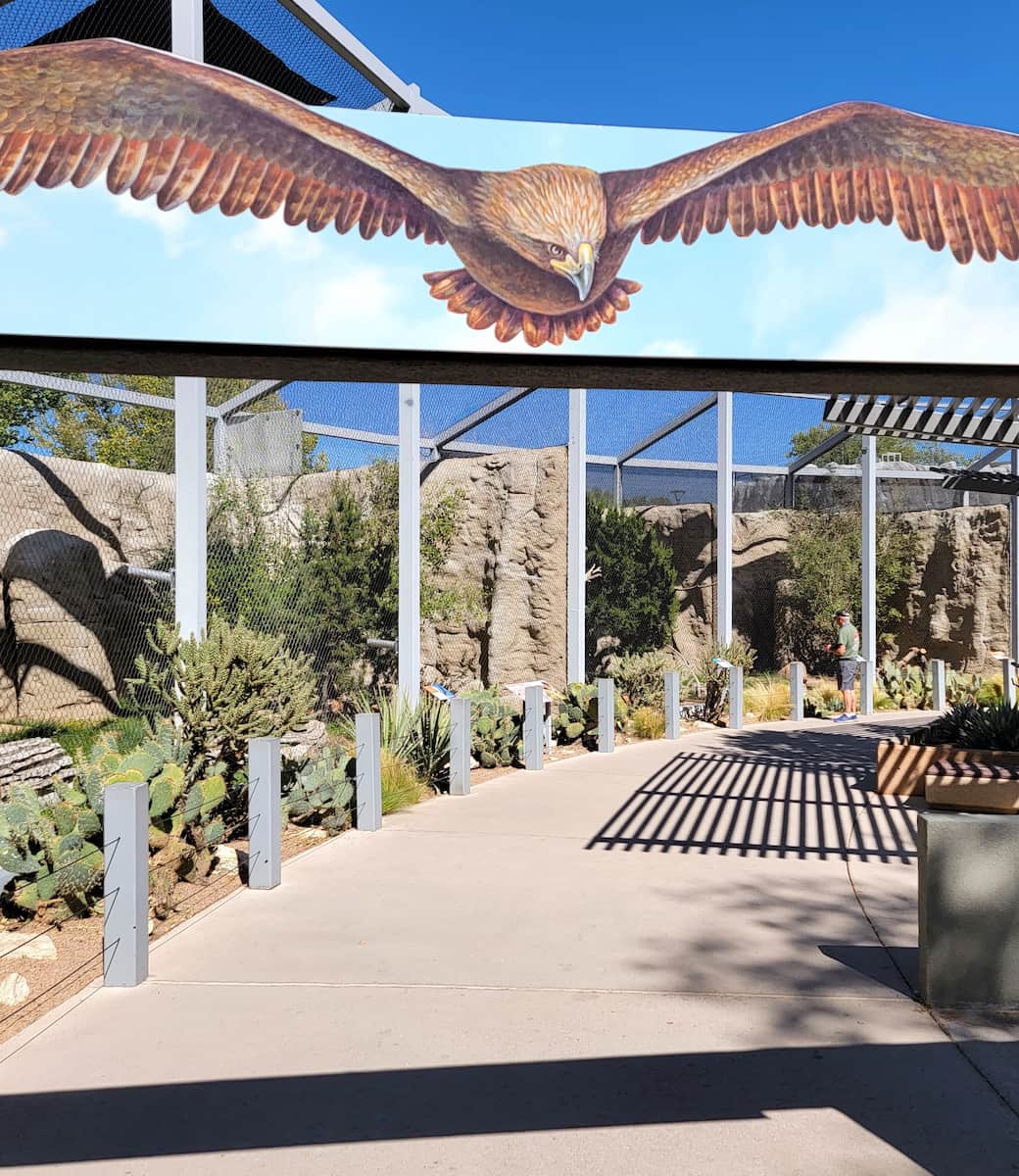 ABQ BioPark Zoo, Albuquerque ABQ BioPark Zoo, Albuquerque