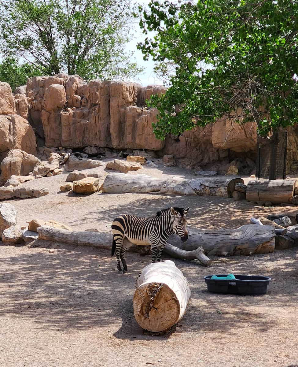 ABQ BioPark Zoo, Albuquerque ABQ BioPark Zoo, Albuquerque
