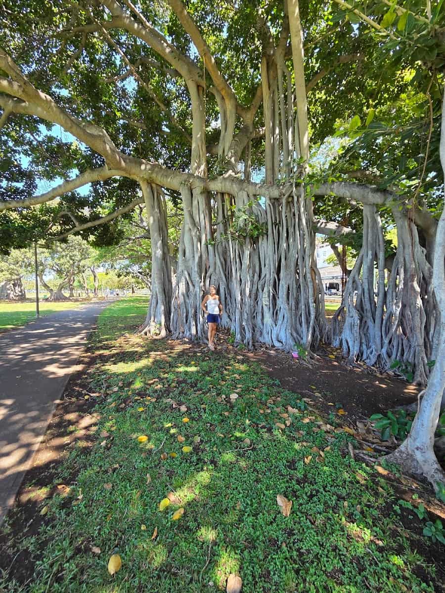 Ala Moana Park, Oahu Ala Moana Park, Oahu