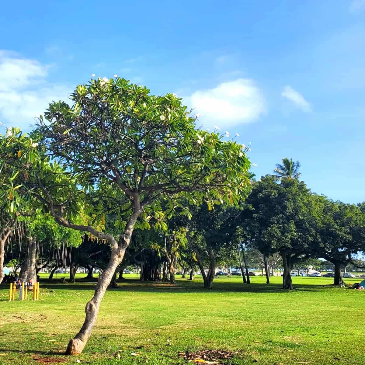 Ala Moana Regional Park, Honolulu Ala Moana Regional Park, Honolulu