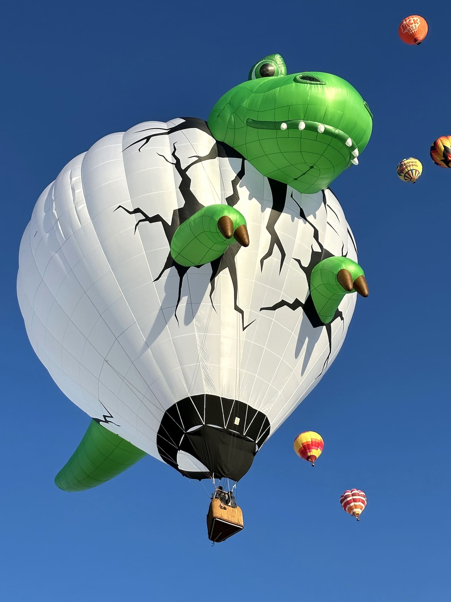 Albuquerque International Balloon Fiesta Albuquerque International Balloon Fiesta