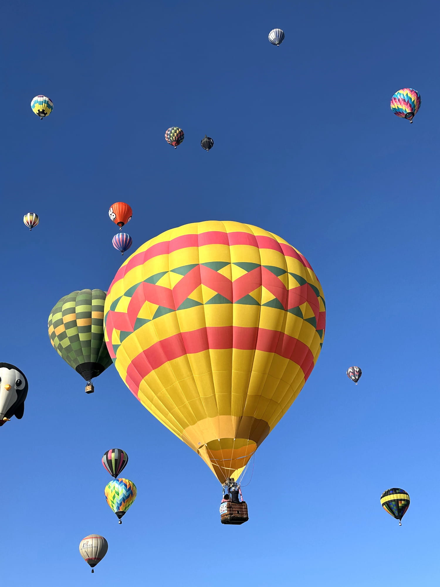 Albuquerque International Balloon Fiesta Albuquerque International Balloon Fiesta