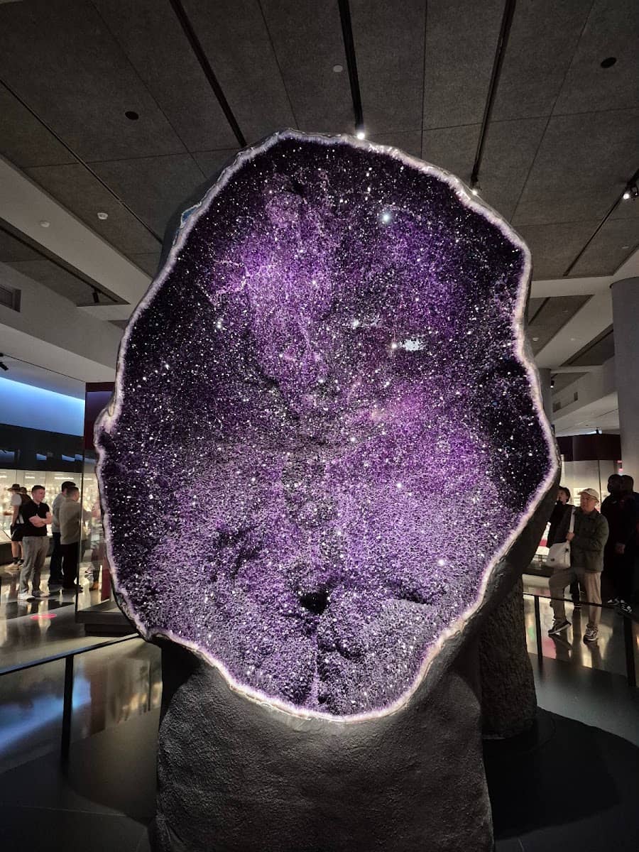 American Museum of Natural History, NYC American Museum of Natural History, NYC