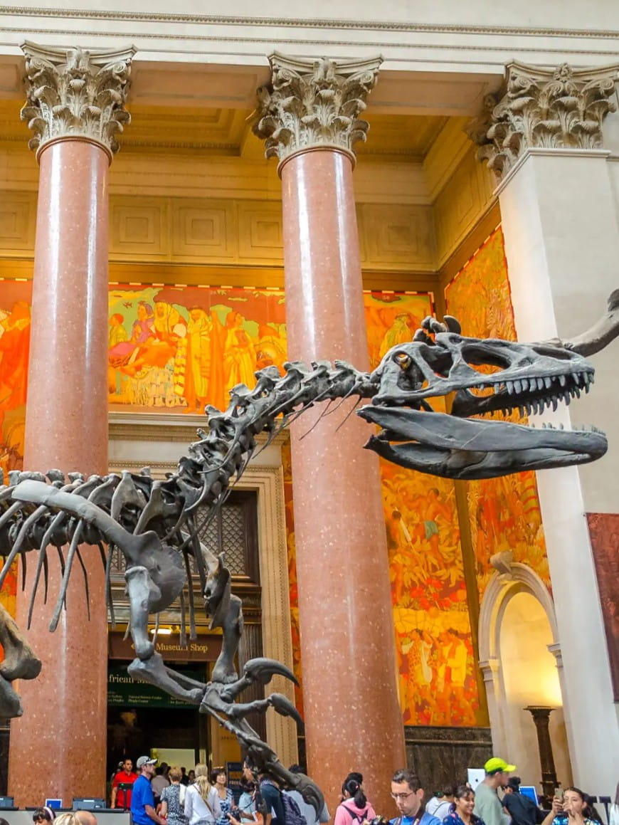 American Museum of Natural History, NYC American Museum of Natural History, NYC