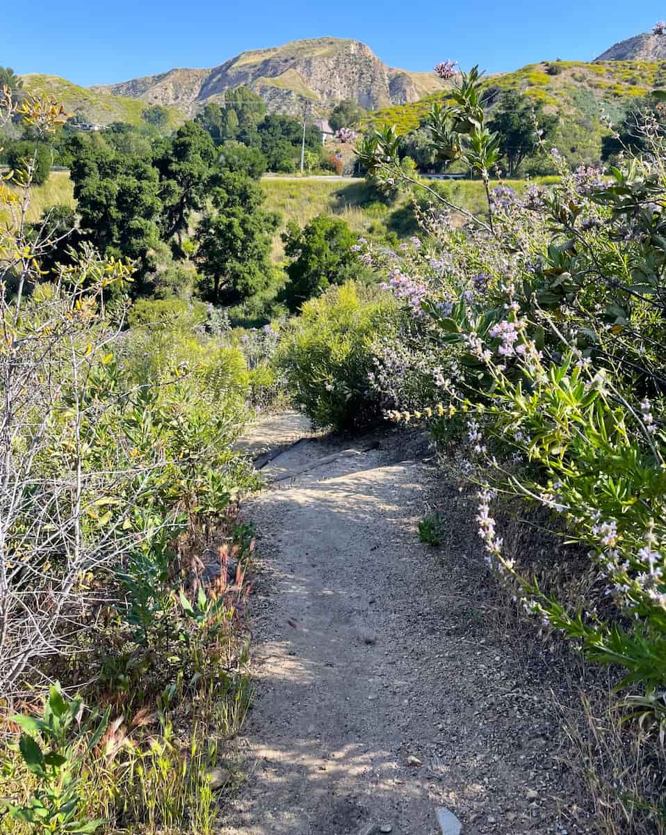 Angeles National Forest, LA Angeles National Forest, LA