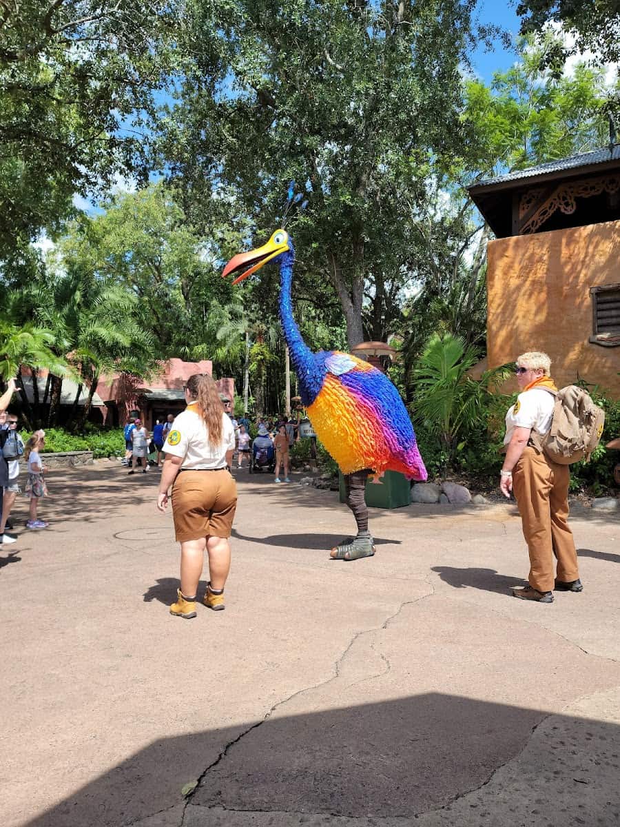 Animal Kingdom, Florida Animal Kingdom, Florida