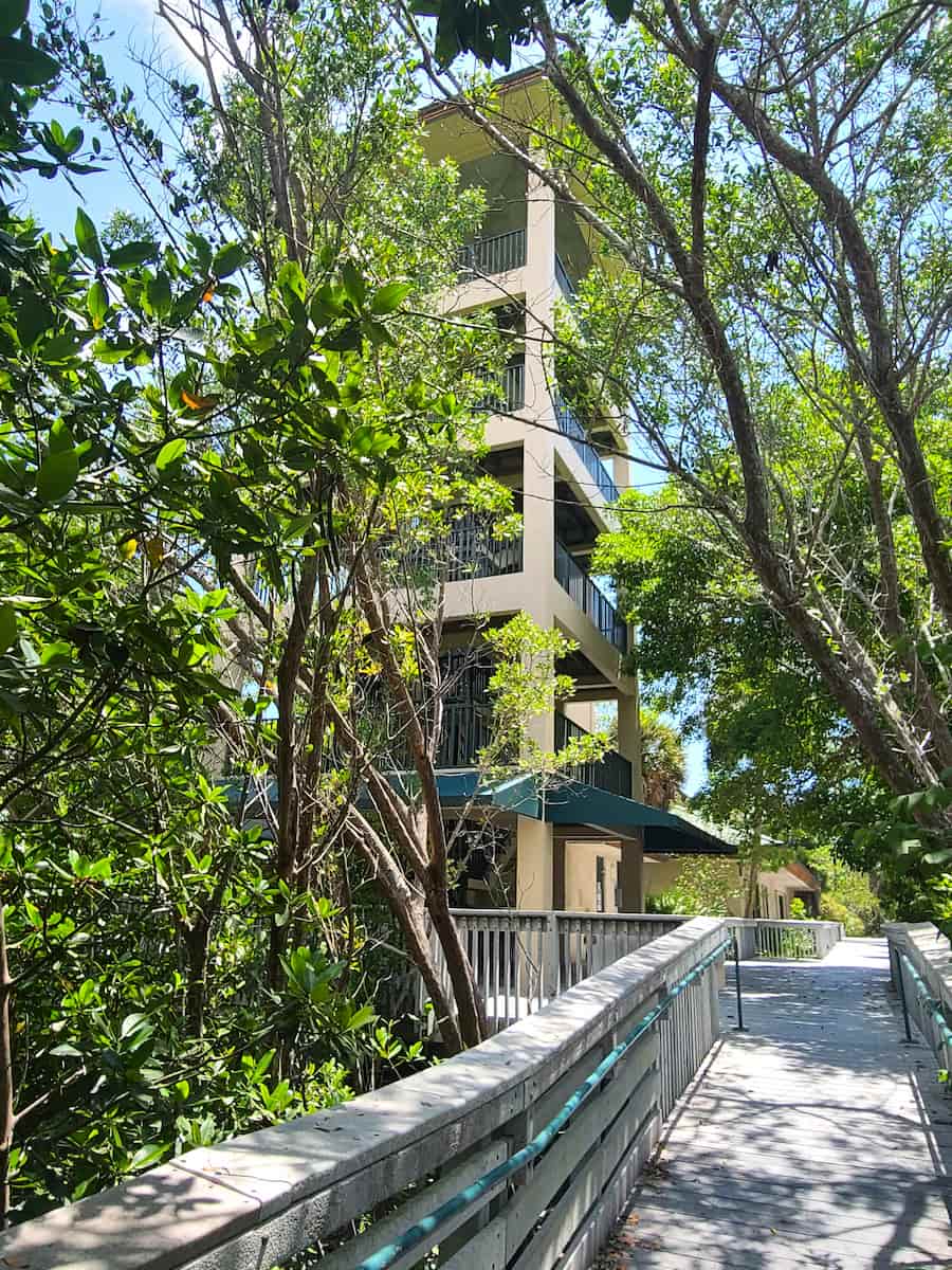 Anne Kolb Nature Center Fort Lauderdale Anne Kolb Nature Center Fort Lauderdale