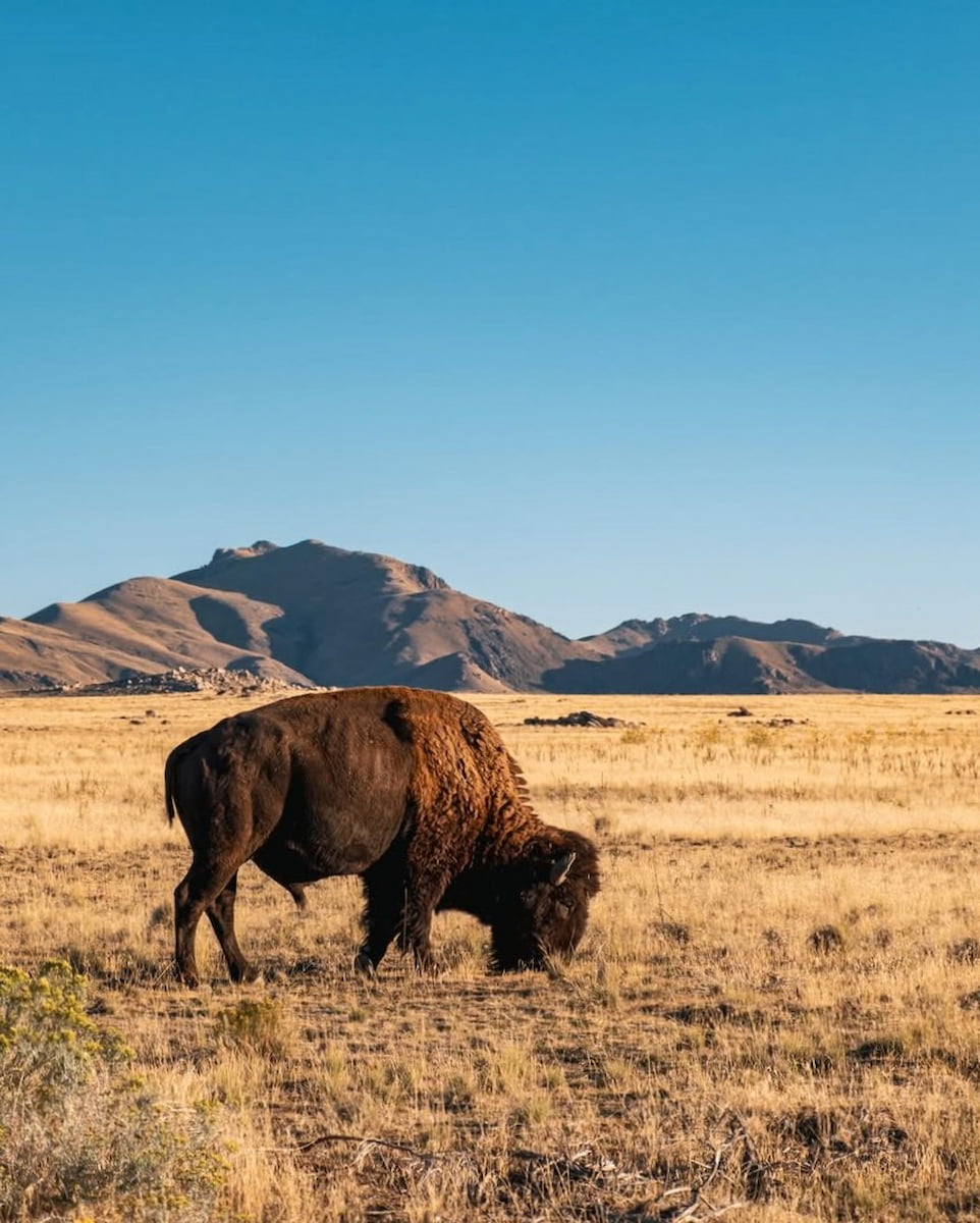 Antelope Island State Park, UT Antelope Island State Park, UT