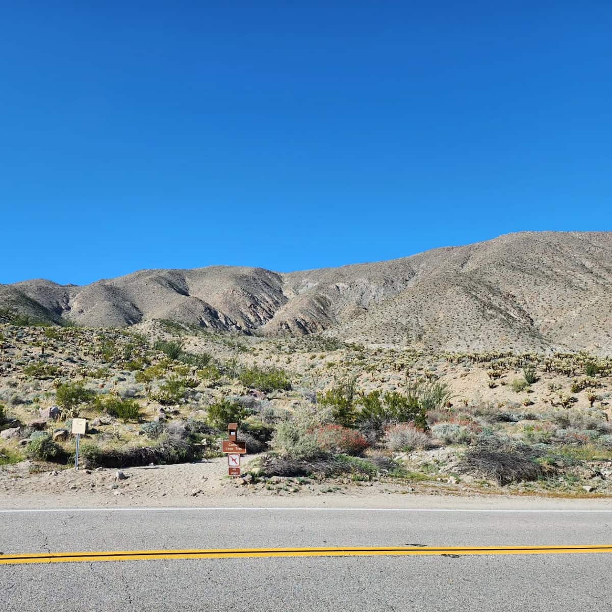 Anza-Borrego Desert State Park Anza-Borrego Desert State Park
