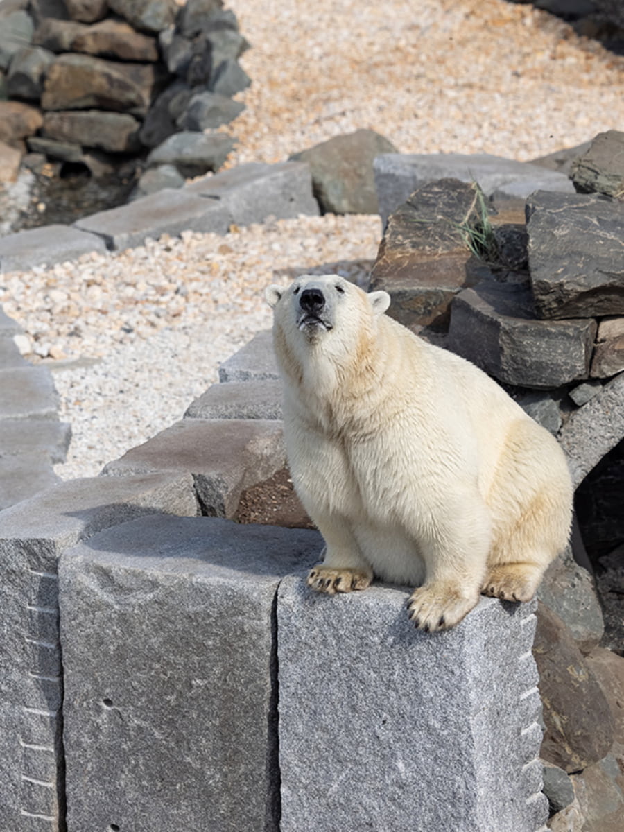 Aquarium du Québec, Quebec City Aquarium du Québec, Quebec City