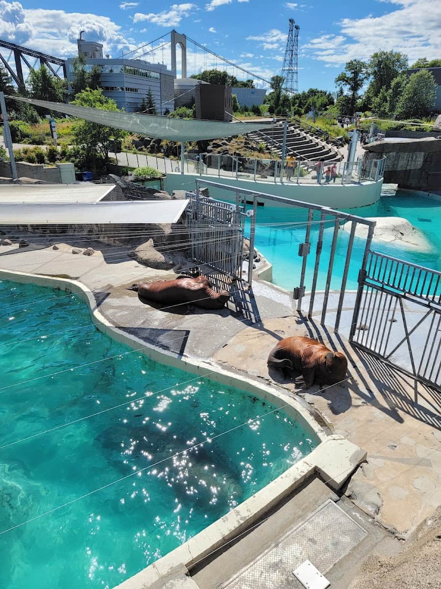 Aquarium du Québec, Quebec City Aquarium du Québec, Quebec City