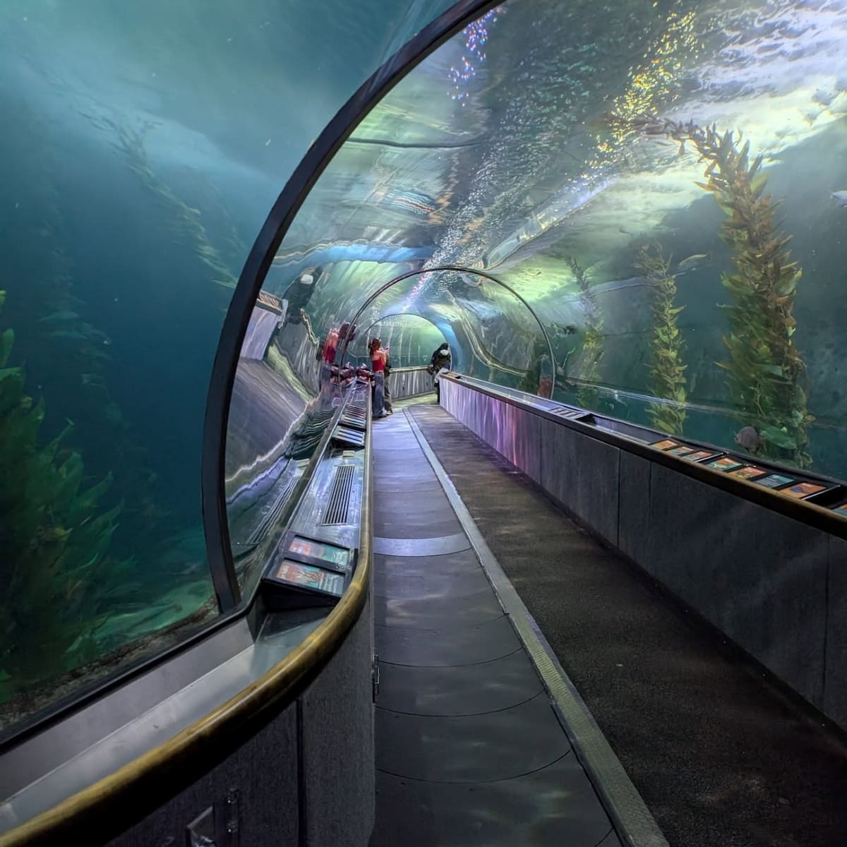 Aquarium of the Bay, San Francisco Aquarium of the Bay, San Francisco