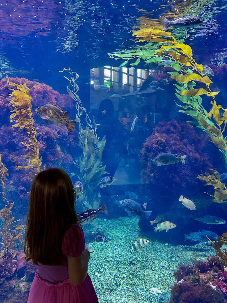 Aquarium of the Pacific, Long Beach Aquarium of the Pacific, Long Beach