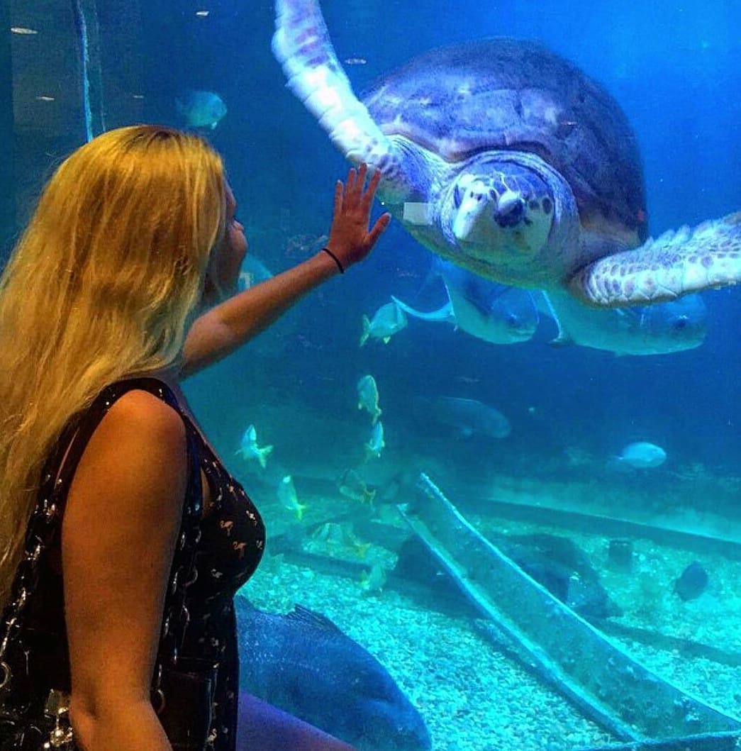 Atlantic City Aquarium Atlantic City Aquarium