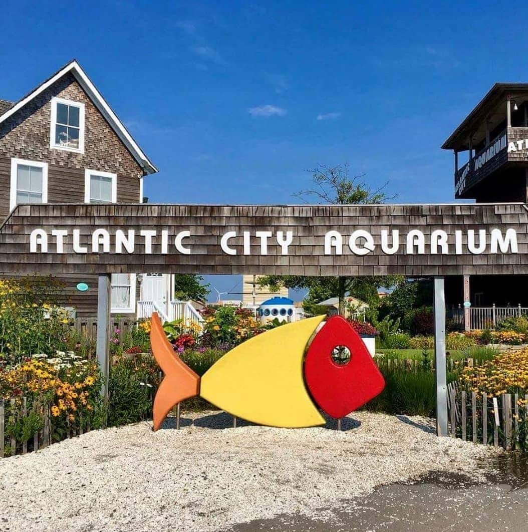 Atlantic City Aquarium Atlantic City Aquarium