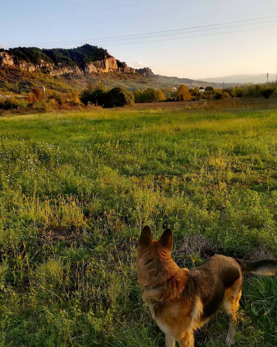 Autumn Foliage, Pescara Autumn Foliage, Pescara