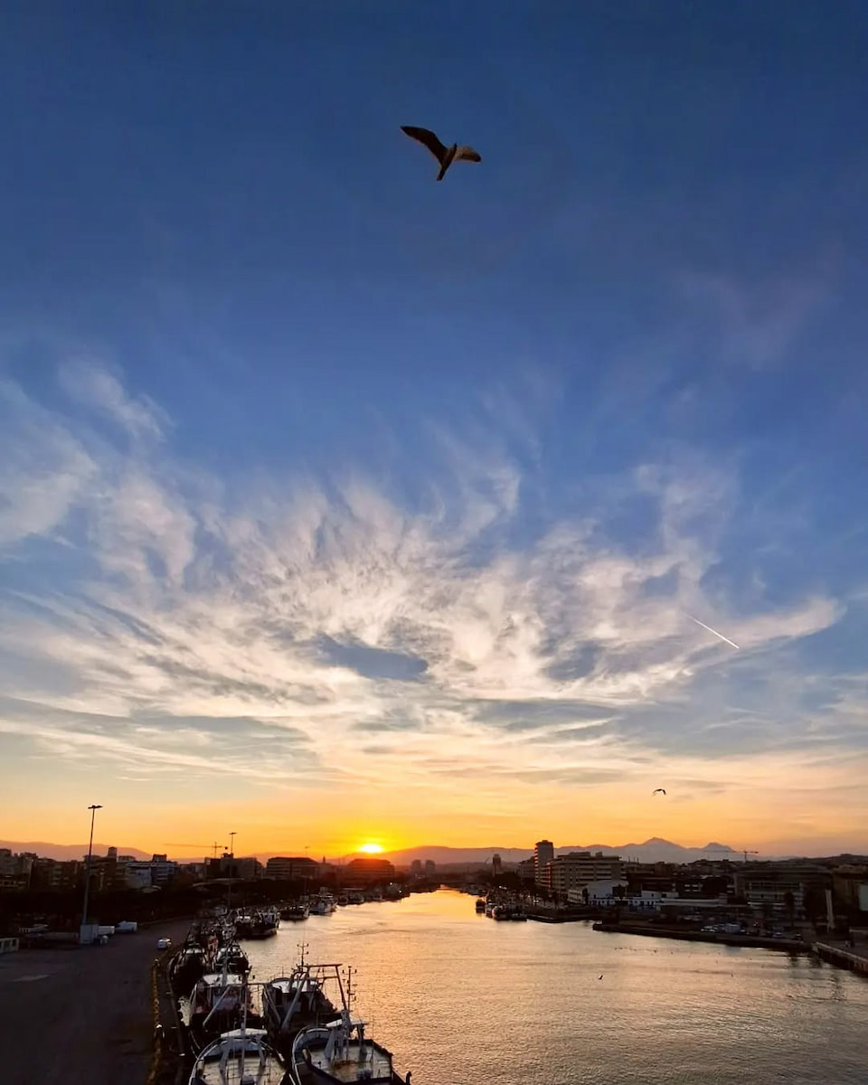 Autumn Foliage, Pescara Autumn Foliage, Pescara