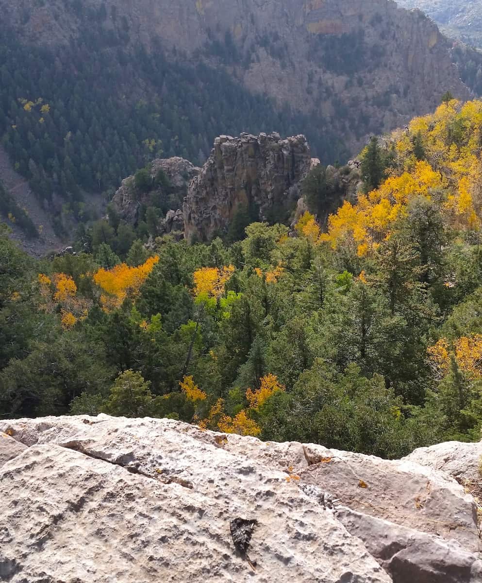 Autumn foliage walks, Albuquerque Autumn foliage walks, Albuquerque