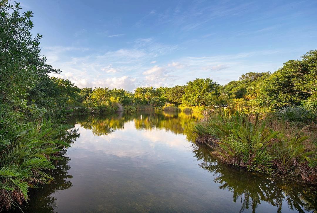 Autumn in Key West Parks Autumn in Key West Parks