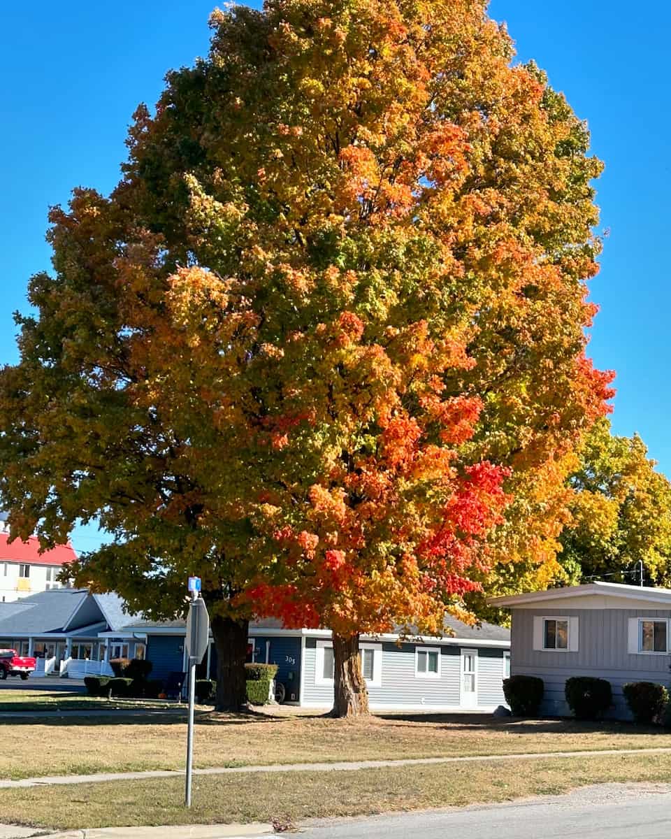 Autumn in Ohio Autumn in Ohio