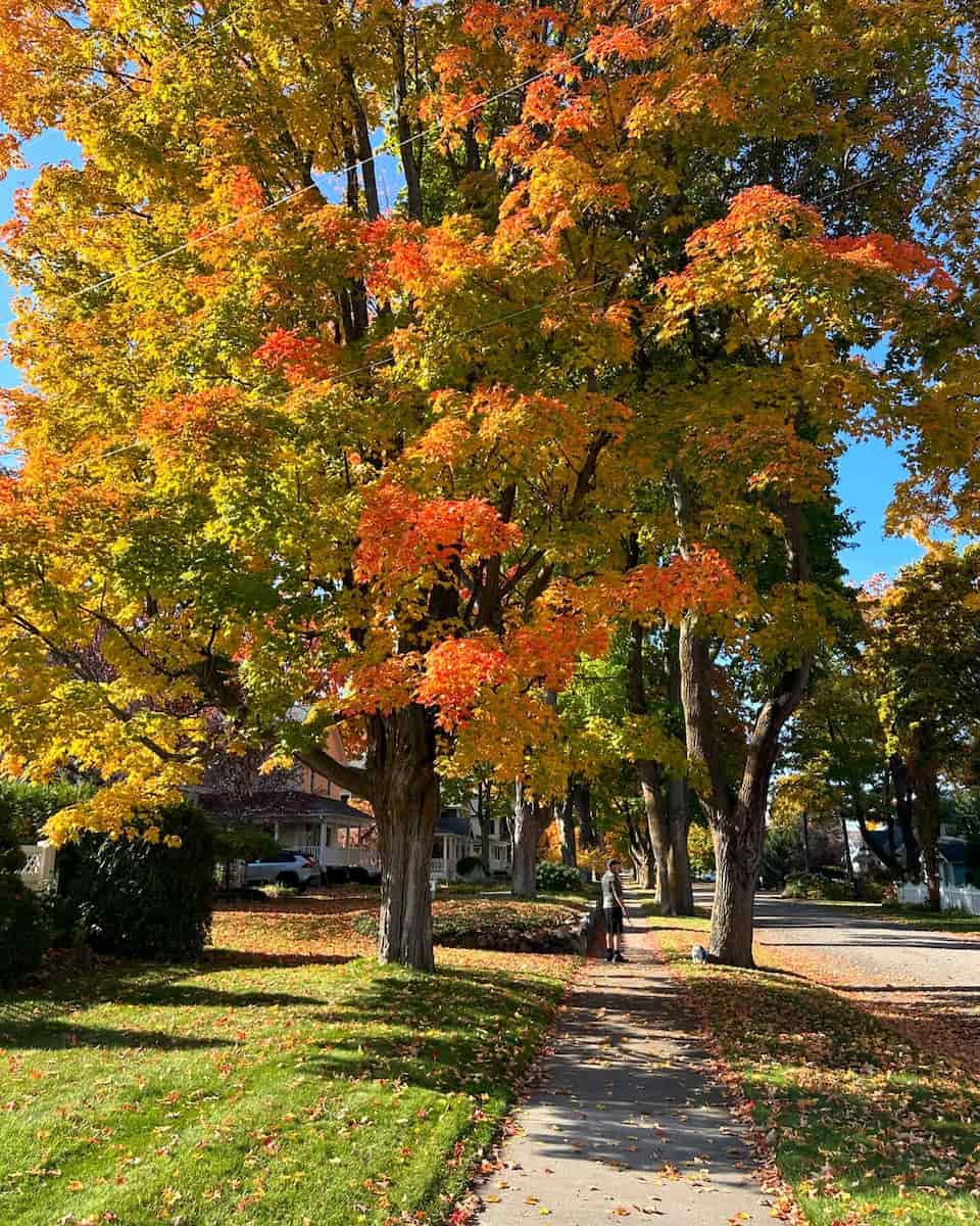 Autumn in Ohio Autumn in Ohio