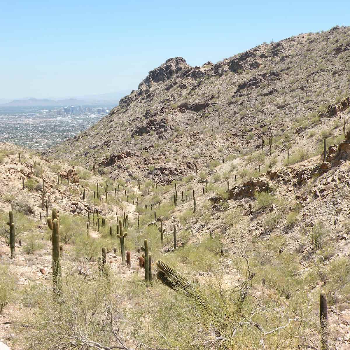 Autumn in South Mountain Park, Phoenix