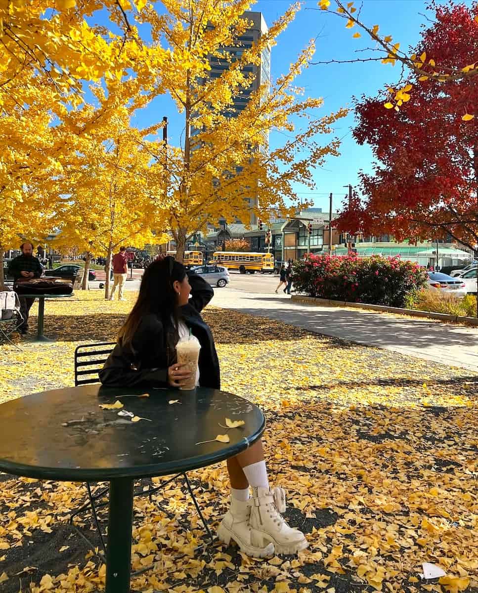 Autumn in Baltimore Autumn in Baltimore