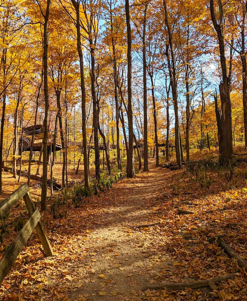Autumn in Cincinnati Autumn in Cincinnati