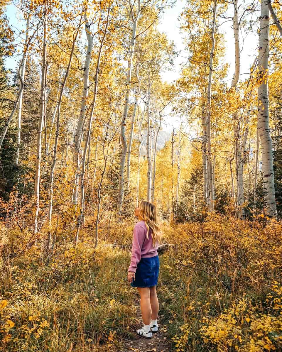 Autumn in Utah Autumn in Utah