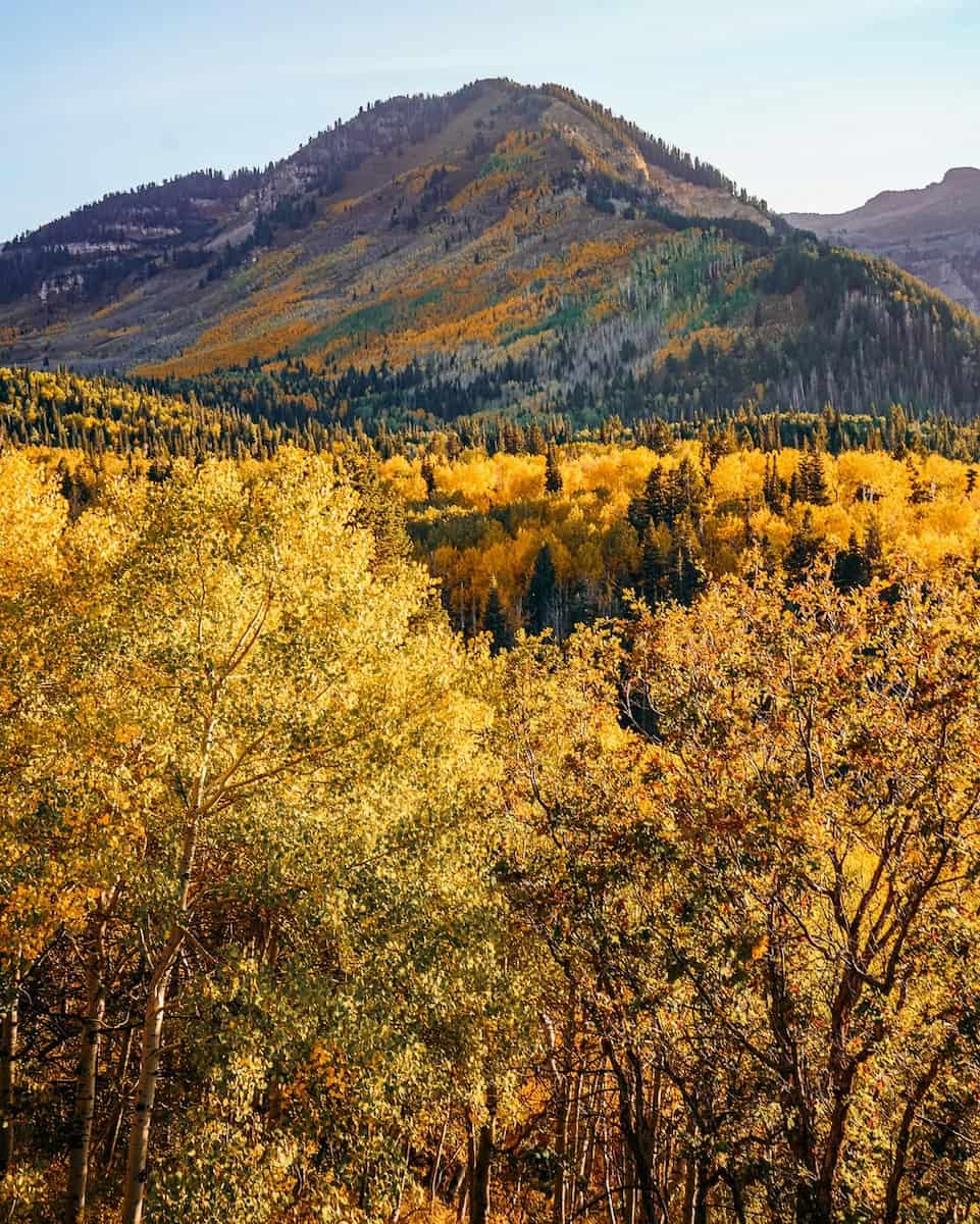 Autumn in Utah Autumn in Utah