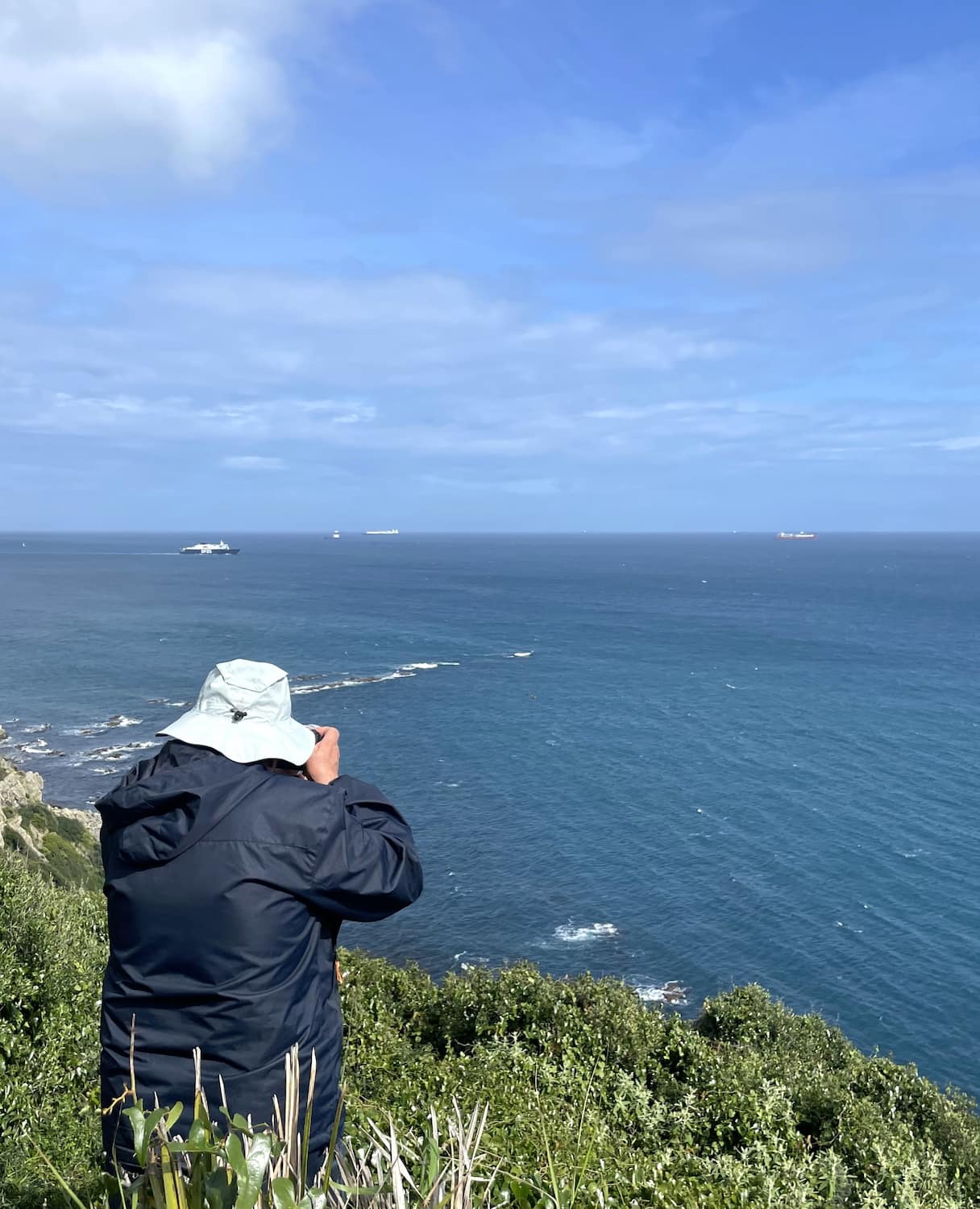 Bird Watching Tarifa Bird Watching Tarifa