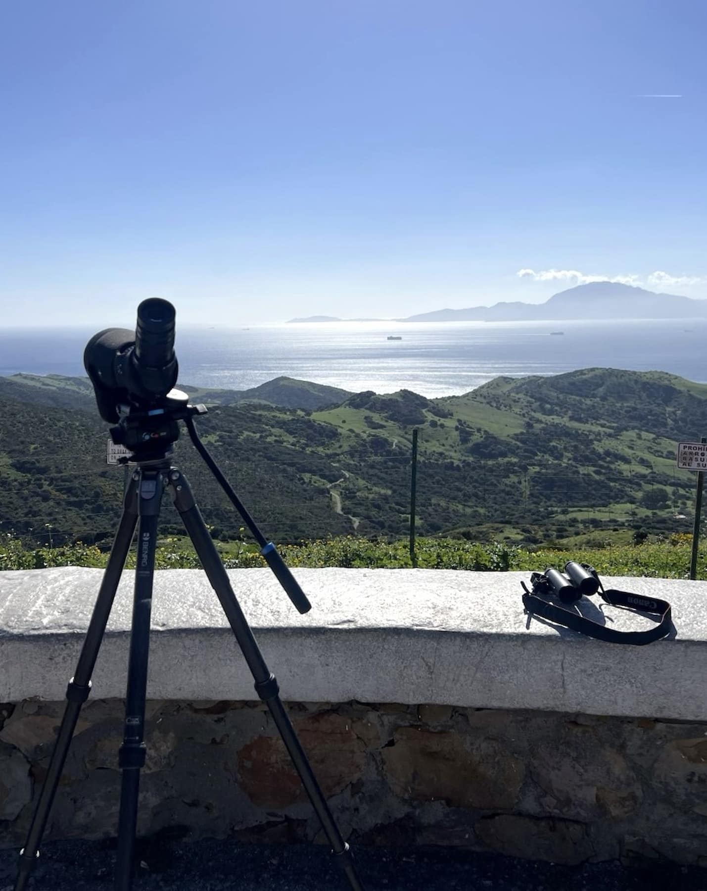 Bird Watching Tarifa Bird Watching Tarifa