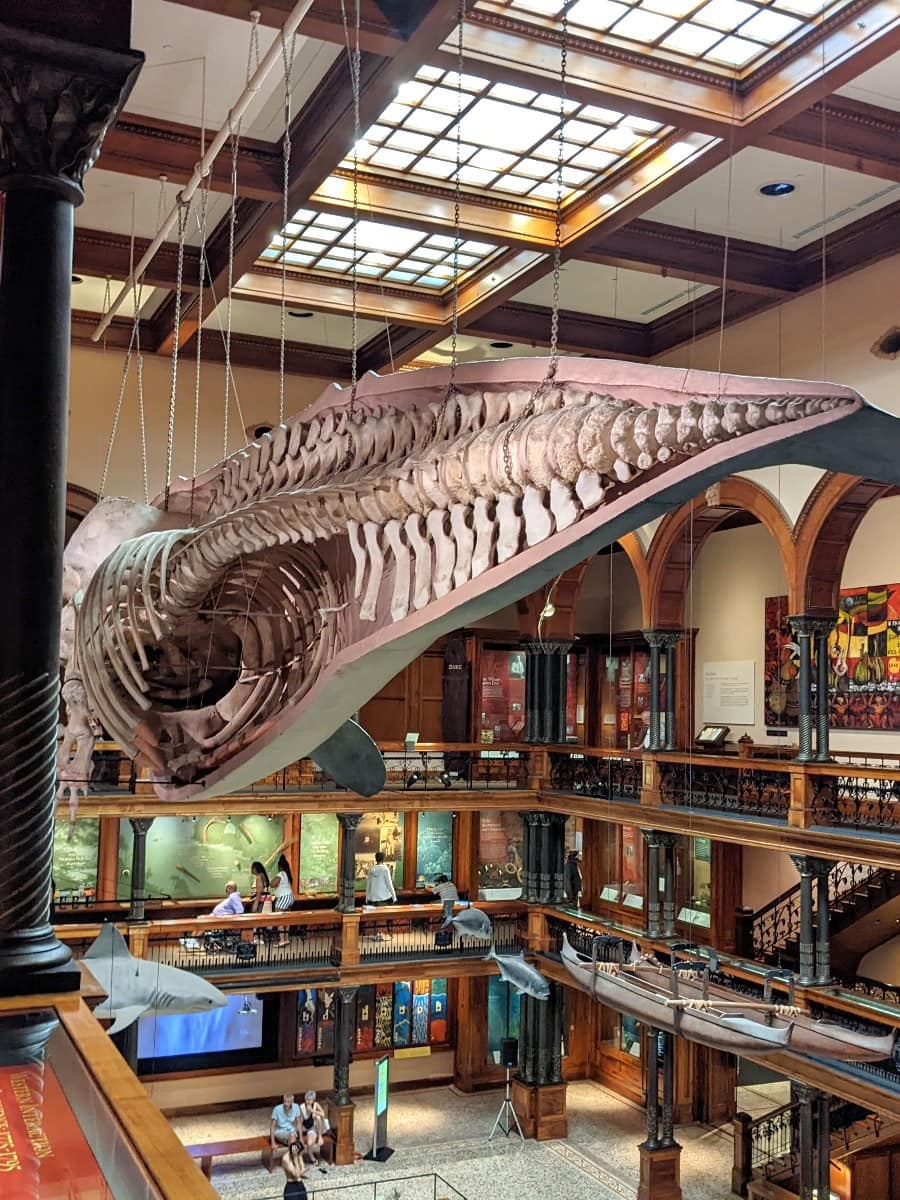 Inside of Bishop Museum, Hawaii Inside of Bishop Museum, Hawaii