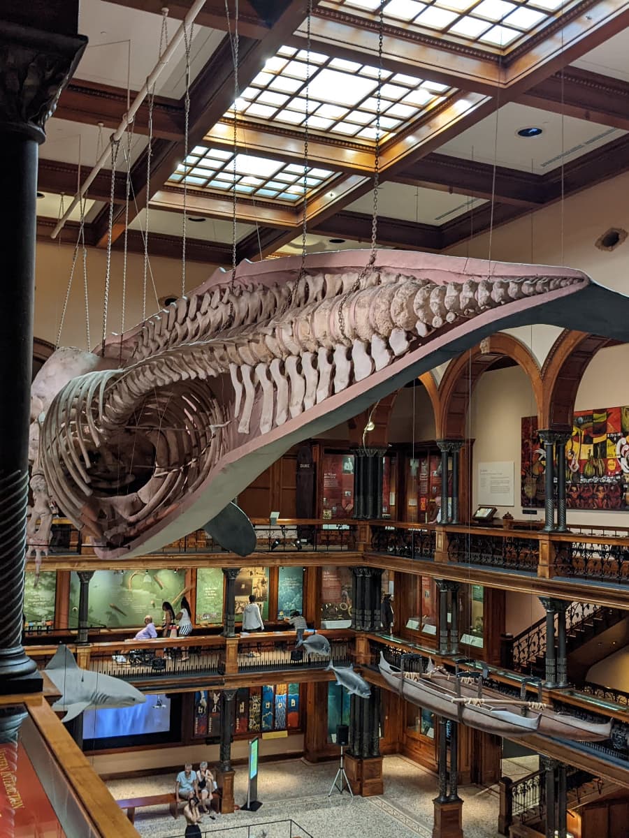 Bishop Museum, Oahu Bishop Museum, Oahu