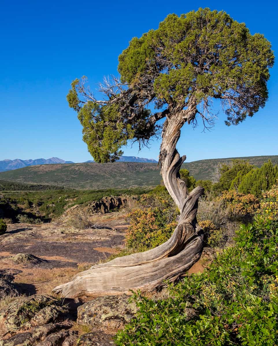 Black Canyon of the Gunnison, CO