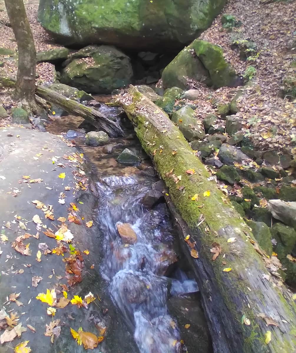 Bluff Trail Chattanooga Bluff Trail Chattanooga